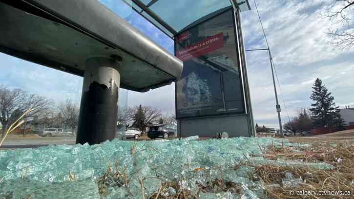 Gimme shelter: Calgary Transit passengers frustrated as rash of vandalism leaves them out in the cold