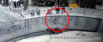 Elle lance son bambin dans un enclos d’ours