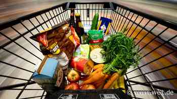 Verbraucherpreise im Januar um 4,9 Prozent gestiegen