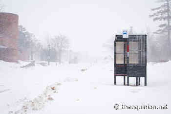 A snowy day in Fredericton - The Aquinian