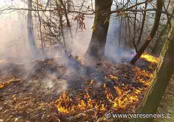 Scatta all'alba l'allerta rossa incendi sulle aree prealpine - varesenews.it