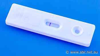 Consumer watchdog receiving more than 100 daily reports of RAT price gouging