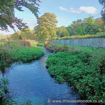 Why are Garden Centres essential? by Mannan Gupta - Wilson's School