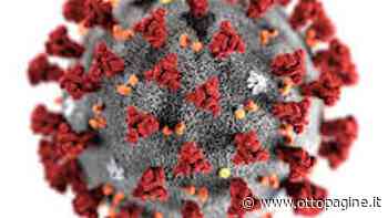 Covid, contagi in calo ma è boom di casi a Solofra, 30 positivi in poche ore - Ottopagine