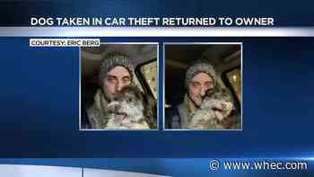 Puppy inside stolen car reunited with owner