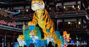 Lunar New Year 2022: Everything you need to know about the Year of the Tiger     - CNET