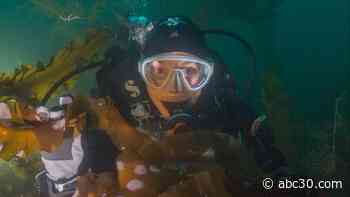 Going deep to save the ocean with biologist, explorer Sylvia Earle