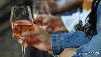 Alcohol in city parks needs more study, Edmonton councillors say