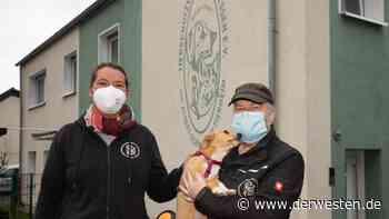 Essen: Schock im Tierheim – „Jetzt hat es uns erwischt“ - DER WESTEN