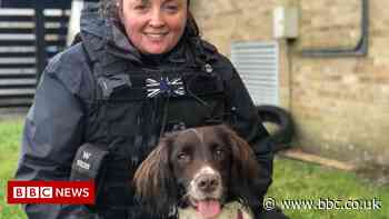 Wiltshire Police 'Digi-dogs' trained to sniff out technology