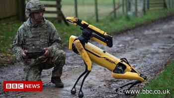 Robots could be used to support soldiers in combat