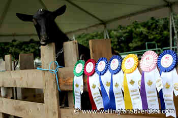 Fergus Agricultural Society issues fall fair survey as it prepares strategic plan - Wellington Advertiser