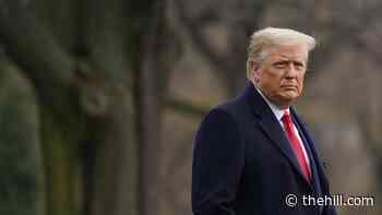 Second draft order by Trump advisers sought to ask DHS to seize voting machines: report