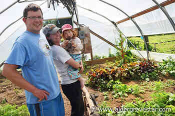 Ideas that make Langley farms more sustainable could get some green – Aldergrove Star - Aldergrove Star