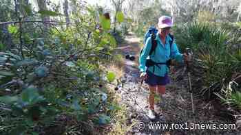At age 63, avid hiker takes on 1,300-mile Florida Trail for fourth time - FOX 13 Tampa Bay