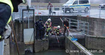 Landkreis Bamberg: Außergewöhnlicher Rettungseinsatz - hilfloses Tier kann sich nicht aus Auffangbecken befreien - inFranken.de