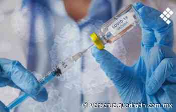 Del 3 al 4 de febrero refuerzo anticovid en Coatepec - Quadratín Veracruz