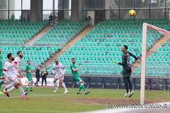 Avellino, il ds Di Somma: "Daremo fastidio al Bari, nove punti sono recuperabili" - La Bari Calcio