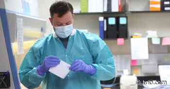 Daily Wyoming coronavirus update: 1,979 new cases, 1,910 new recoveries | Wyoming News | trib.com - Casper Star-Tribune Online