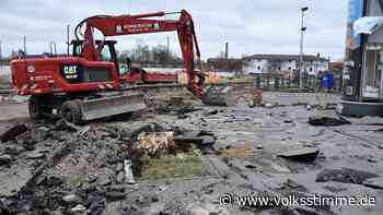 Kritik an Baumfällungen für Bau der neuen Pylonbrücke in Magdeburg - Volksstimme