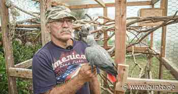 "Willkommen bei den Reimanns": Ehefrau treibt Konny Reimann beim Pool-Bau in den Wahnsinn - BUNTE.de