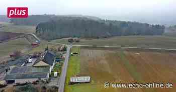 Verhindern Rotmilane erneut den Bau eines Windparks? - Echo Online