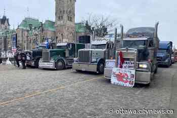 They'll be back: Ottawa hotel bookings suggest convoy protesters may return next weekend - CityNews Ottawa