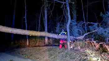 Sturmtief "Nadia" - Feuerwehren im Bezirk Neunkirchen im Dauereinsatz - NÖN.at