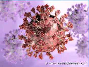 COVID-19 hospitalizations remain stable | Sarnia & Lambton County This Week - Sarnia and Lambton County This Week