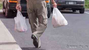 Regina's plastic bag ban bylaw takes effect Tuesday