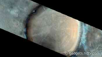 Is That a Giant Tree Stump on Mars? This Image From the Red Planet Is Not What It Seems