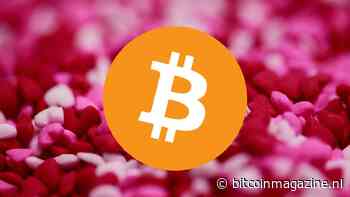 Man verliest $200.000 in bitcoin na advies op dating app - Bitcoin Magazine NL