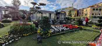 #Sanremo2022: terminato l'allestimento di un grande prato verde in piazza Colombo attorno a 'Casa Siae' (foto) - SanremoNews.it