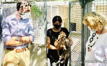 Animali in città, Prato si conferma al top per Legambiente - intoscana - inToscana