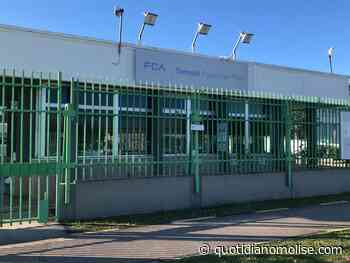 Stellantis, quale futuro per Termoli? - Il Quotidiano del Molse