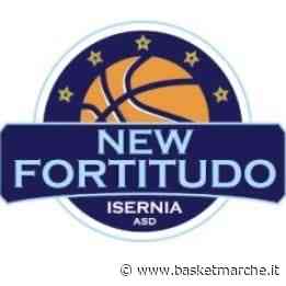 Isernia corsara in quel di Termoli, la New Fortitudo parte con il piede giusto - C Gold Abruzzo Girone Unico - Basketmarche.it
