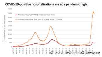 Omicron plateauing in Ontario, hospitalizations at “pandemic high”