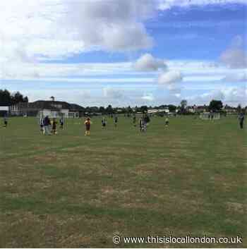Campaign to save sports pitches with land said to be eyed up by West Ham