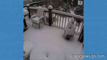 WATCH:  Snow piles up in Massachusetts amid nor'easter