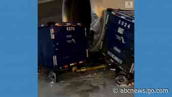 WATCH:  Cargo plane damaged after collision on runway