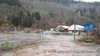 Natur in Schiltach - Weihnachtsbaum bei der Grüngutsammelstelle entsorgen? - Schwarzwälder Bote