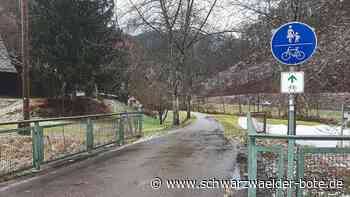 Bahn Schramberg-Schiltach - Antrag zur Machbarkeitsstudie – gestellt, aber nicht angekommen - Schwarzwälder Bote