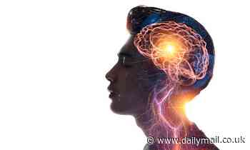 Your brain shows images from 15 seconds 'in the past' instead of trying to update you in real-time