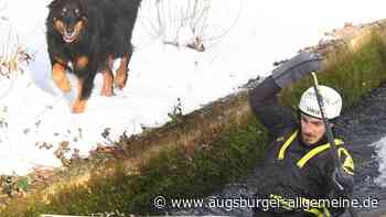 Erst im kalten, jetzt im warmen Wasser unterwegs