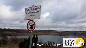 Wasserqualität des Lappwaldsees muss verbessert werden