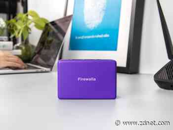 Firewalla launches Purple: Its must-have network security device