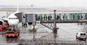 Bill to Ban Illegal Immigrants from Using Arrest Warrants to Board Planes Hits Senate