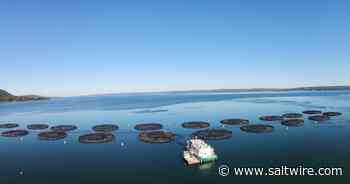 Digby County fish farm boundary amendment approval 'disappointing' - SaltWire Network
