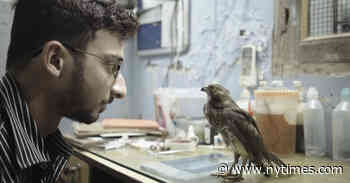 Sundance Wrap-Up: 6 Movies We Like and One We Disagree on