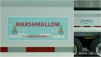Calgary plows through 1,700 student submissions to clear the way for snowplow naming